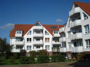 Kastanienallee zwischen Zentrum und Seebrücke, Graal-Muritz